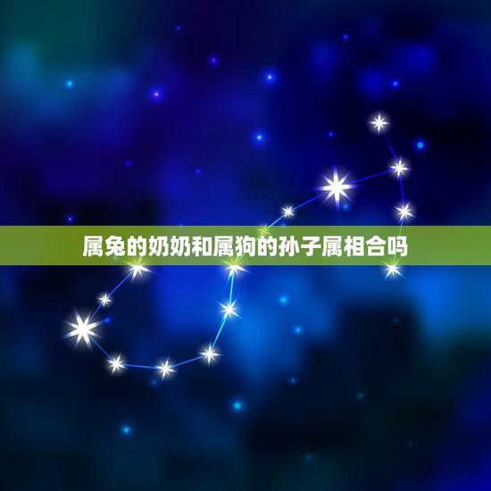 属兔的奶奶和属狗的孙子属相合吗，要2000字的关于我爱奶奶的作文