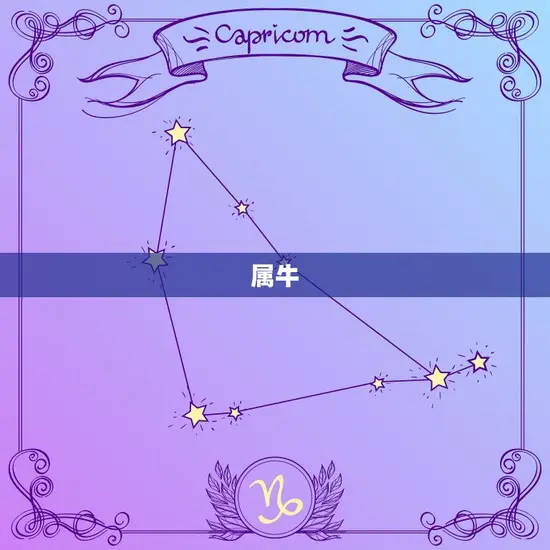 属牛 属牛