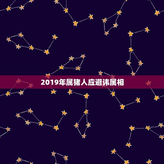 2019年属猪人应避讳属相,属猪大忌颜色 2019年属猪人应避讳属相,属猪大忌颜色