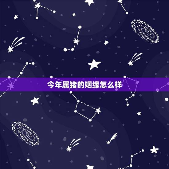 今年属猪的姻缘怎么样,属猪的男人命运和婚姻怎么样 今年属猪的姻缘怎么样,属猪的男人命运和婚姻怎么样