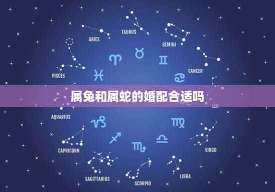 属兔和属蛇的婚配合适吗，属兔和属蛇相配吗？