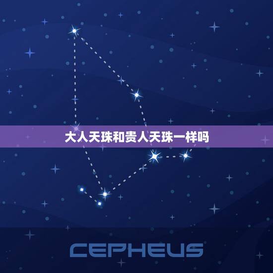 大人天珠和贵人天珠一样吗,天珠佩戴禁忌与属相 大人天珠和贵人天珠一样吗,天珠佩戴禁忌与属相