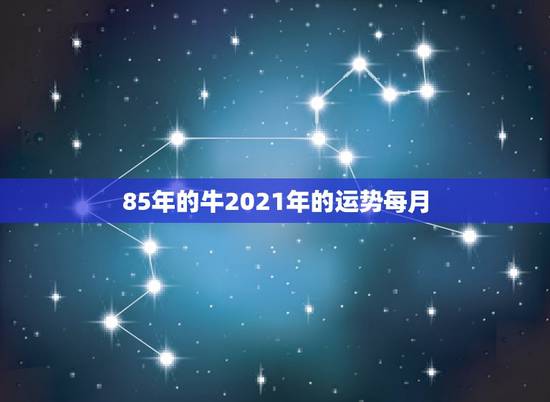 85年的牛2021年的运势每月,85年属牛2021年运势 85年的牛2021年的运势每月,85年属牛2021年运势