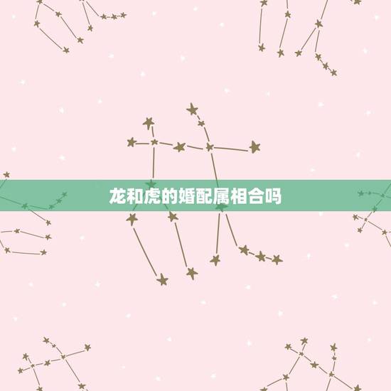 龙和虎的婚配属相合吗,生肖龙和虎相配吗? 龙和虎的婚配属相合吗,生肖龙和虎相配吗?
