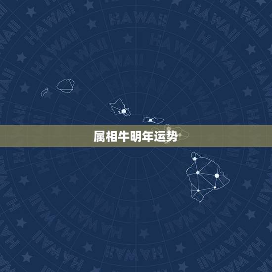 属相牛明年运势，1985属牛未来十年运势
