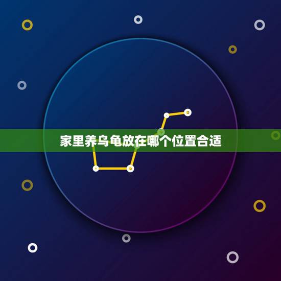 家里养乌龟放在哪个位置合适,乌龟放在家里什么地方好 家里养乌龟放在哪个位置合适,乌龟放在家里什么地方好
