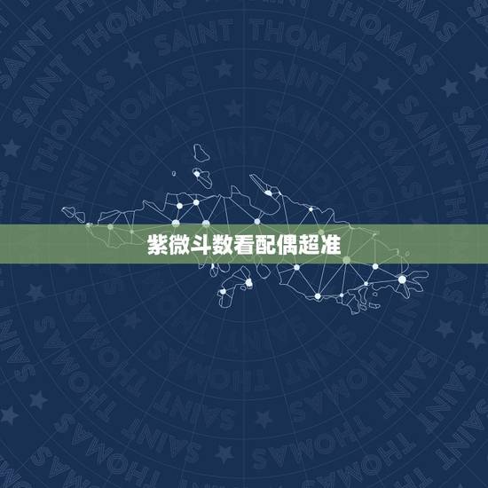 紫微斗数看配偶超准,紫微斗数看配偶能准到什么层次 紫微斗数看配偶超准,紫微斗数看配偶能准到什么层次