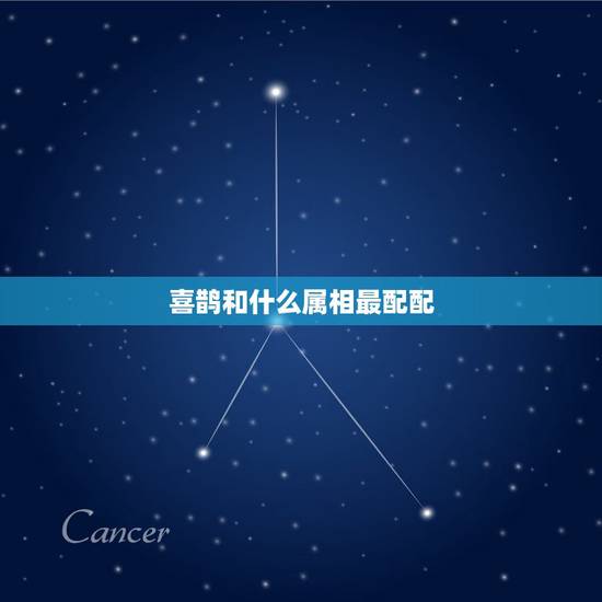 喜鹊和什么属相最配配,艺术创作中喜鹊一般与什么植物相配 喜鹊和什么属相最配配,艺术创作中喜鹊一般与什么植物相配