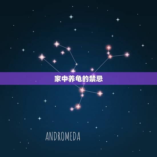 家中养龟的禁忌,养龟风水与属相禁忌有哪些 家中养龟的禁忌,养龟风水与属相禁忌有哪些