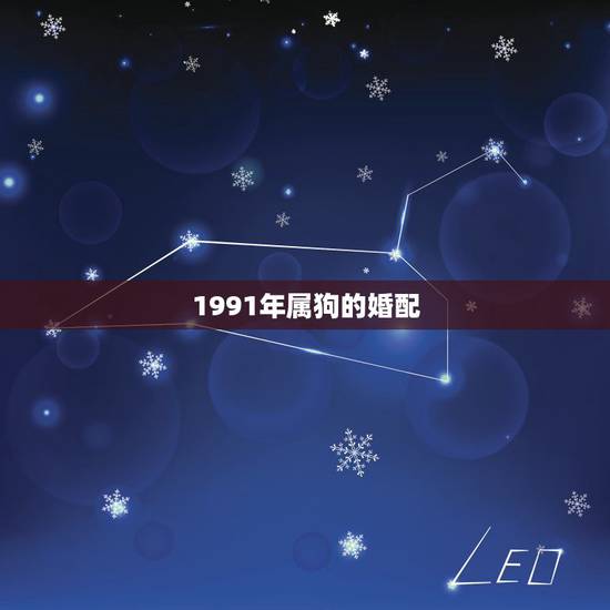1991年属狗的婚配，1982年的男，属狗，与1991年属羊 ，女 婚