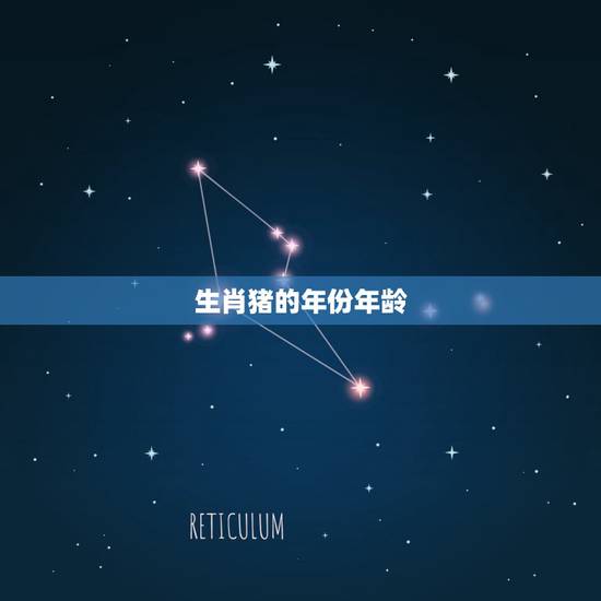 生肖猪的年份年龄，属猪的年龄表2022 多大