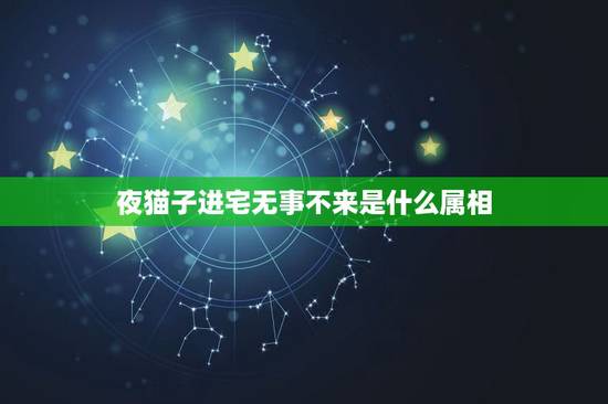 夜猫子进宅无事不来是什么属相，( )进宅—— 总没好事 歇后语 填动物