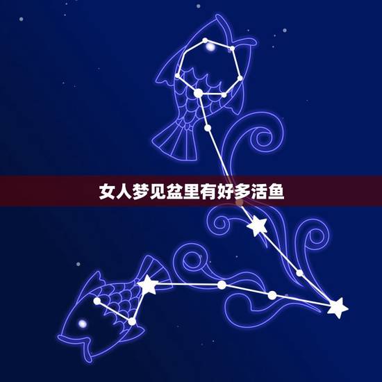 女人梦见盆里有好多活鱼，梦见手抓鱼要发财了
