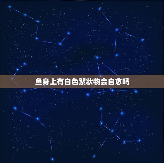 鱼身上有白色絮状物会自愈吗,鱼身上有个小白点 白色絮状物是什么病 鱼身上有白色絮状物会自愈吗,鱼身上有个小白点 白色絮状物是什么病