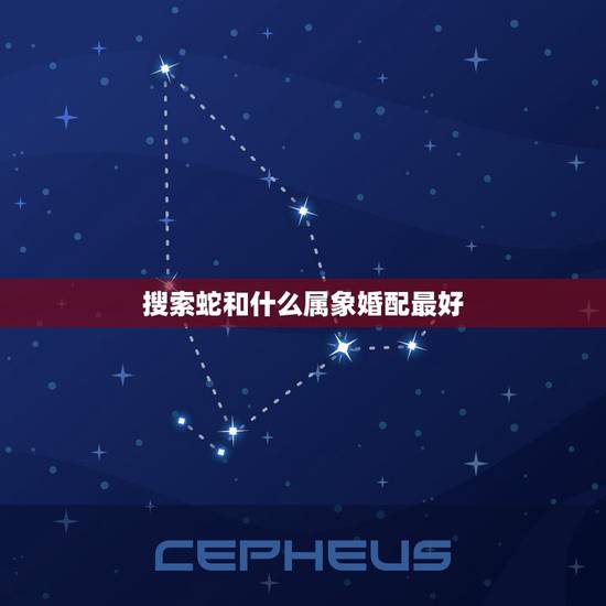 搜索蛇和什么属象婚配最好，属蛇的找什么属相结婚为好