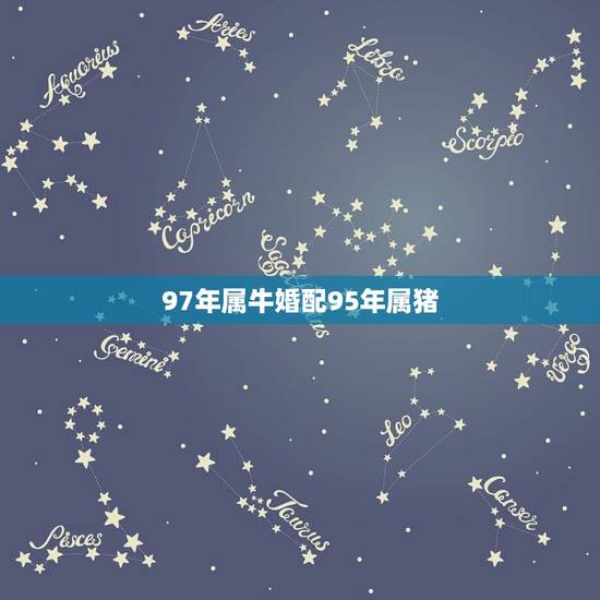 97年属牛婚配95年属猪，1997年属牛的和1995年属猪的相配吗？