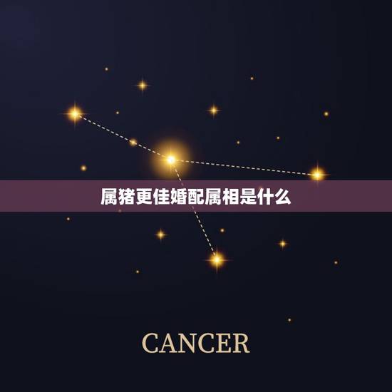 属猪更佳婚配属相是什么，95年属猪2022 年的运势