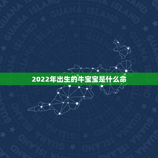 2022年出生的牛宝宝是什么命，2022年虎年是什么命缺什么