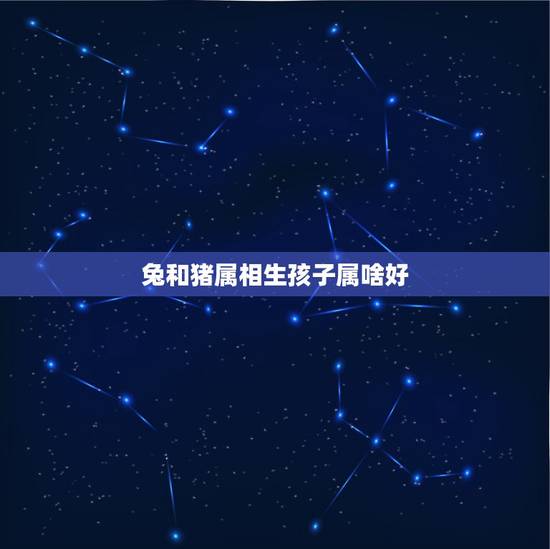 兔和猪属相生孩子属啥好，属猪和属兔可以生什么属相的孩子