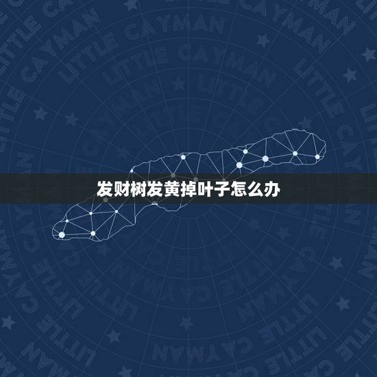 发财树发黄掉叶子怎么办,发财树叶子发黄掉落怎么办?如何补救 发财树发黄掉叶子怎么办,发财树叶子发黄掉落怎么办?如何补救