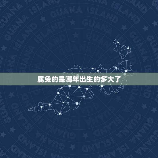 属兔的是哪年出生的多大了,属兔今年多大 属兔的是哪年出生的多大了,属兔今年多大