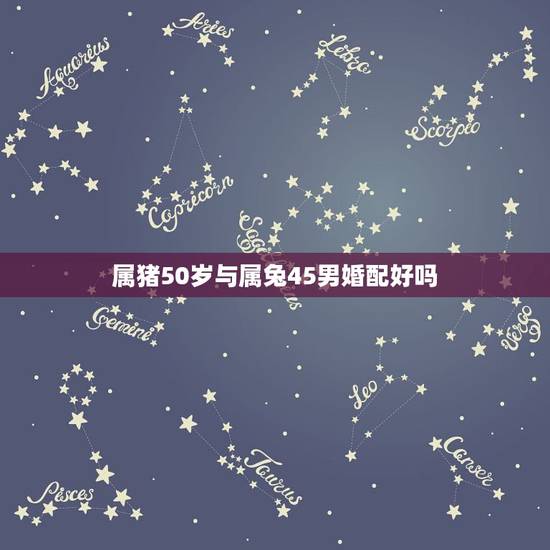属猪50岁与属兔45男婚配好吗，95年属猪女和87年属兔男婚配合适吗？