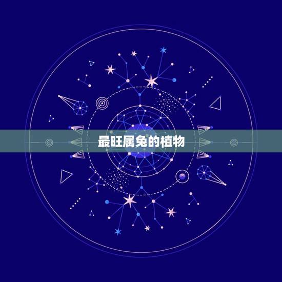 最旺属兔的植物，属兔家里放什么招财