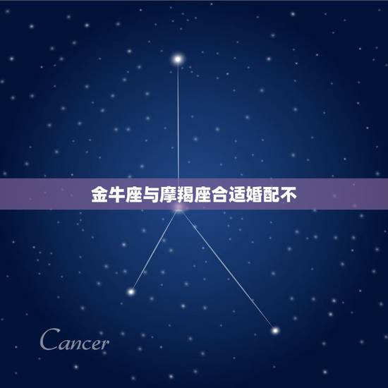 金牛座与摩羯座合适婚配不，金牛座的男生和魔蝎座的女生配吗？