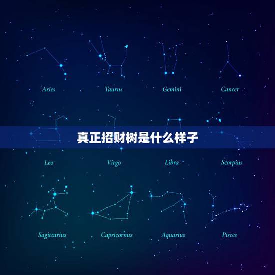 真正招财树是什么样子,鸭脚木长得很慢,用什么方式施肥能使鸭脚木长得更快 真正招财树是什么样子,鸭脚木长得很慢,用什么方式施肥能使鸭脚木长得更快