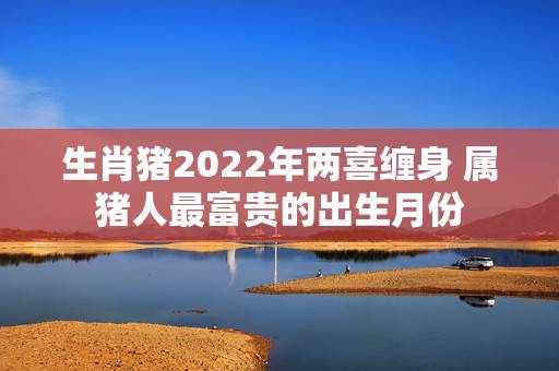 生肖猪2022年两喜缠身 属猪人最富贵的出生月份