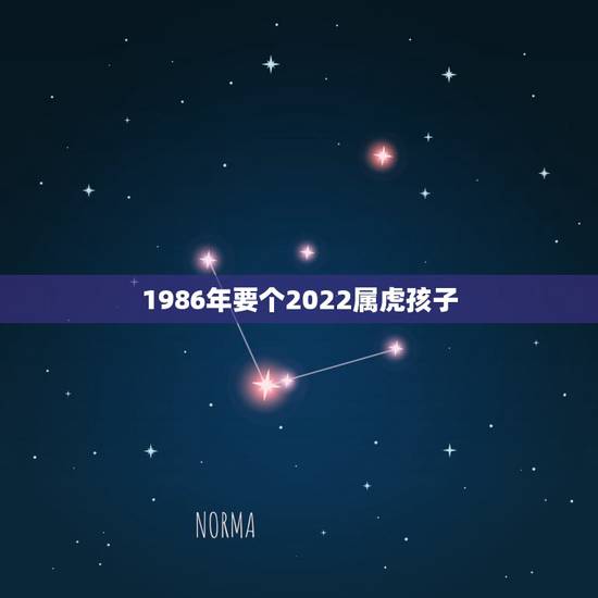 1986年要个2022属虎孩子,2022年有喜孕的生肖 1986年要个2022属虎孩子,2022年有喜孕的生肖