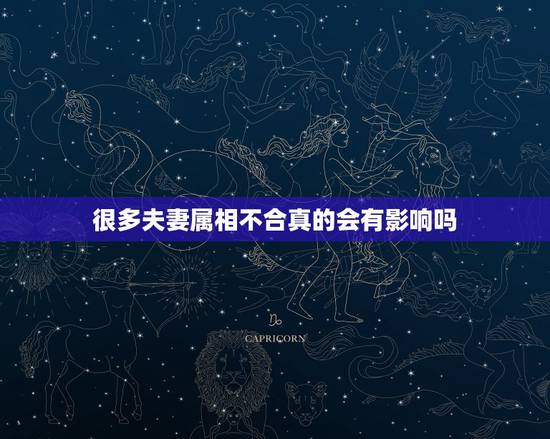很多夫妻属相不合真的会有影响吗,属相对婚姻真的有影响吗 很多夫妻属相不合真的会有影响吗,属相对婚姻真的有影响吗