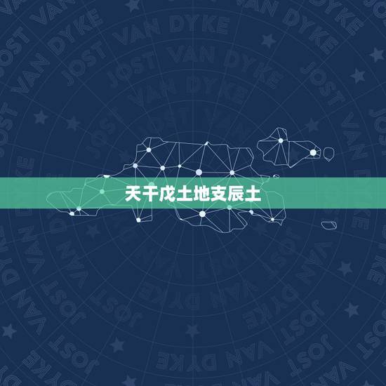 天干戊土地支辰土,天干壬地支辰 天干戊土地支辰土,天干壬地支辰