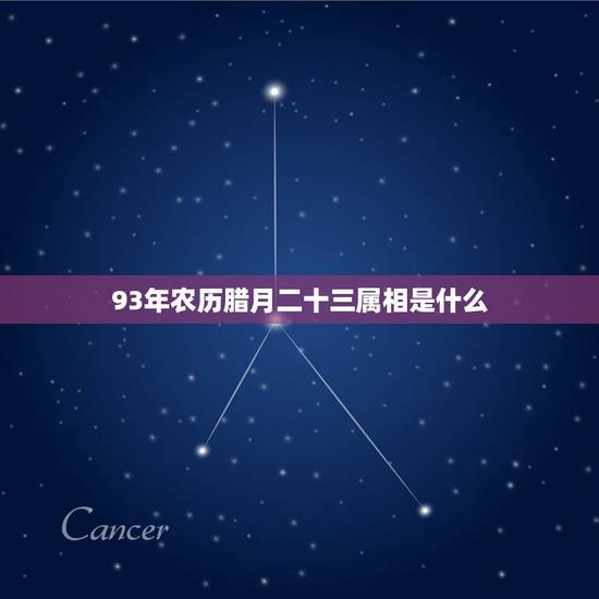 93年农历腊月二十三属相是什么，男1993年腊月二十三23点27分生的