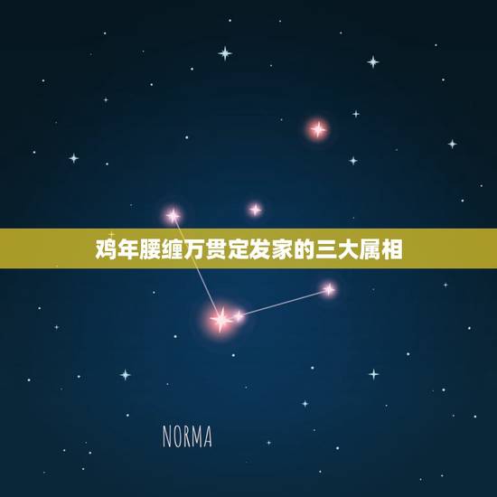 鸡年腰缠万贯定发家的三大属相,腰缠万贯四十亿,八九不谐听天意是什么生肖 鸡年腰缠万贯定发家的三大属相,腰缠万贯四十亿,八九不谐听天意是什么生肖
