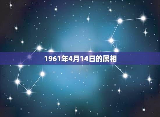 1961年4月14日的属相，1961年生的属相是什么