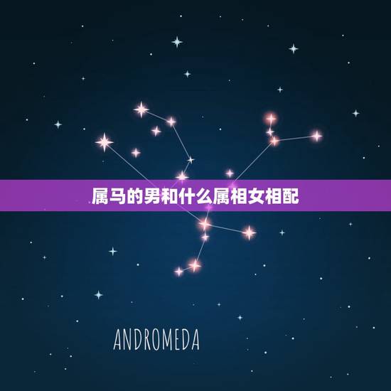 属马的男和什么属相女相配，男人属马的和什么属相最配，女性属马的属相婚配