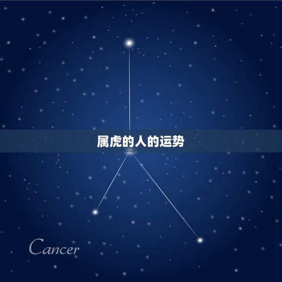 属虎的人的运势，属虎人2009年运程