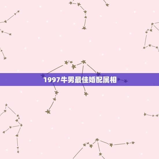 1997牛男最佳婚配属相,属牛男和什么属相最配 1997牛男最佳婚配属相,属牛男和什么属相最配