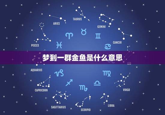 梦到一群金鱼是什么意思，梦到金鱼。