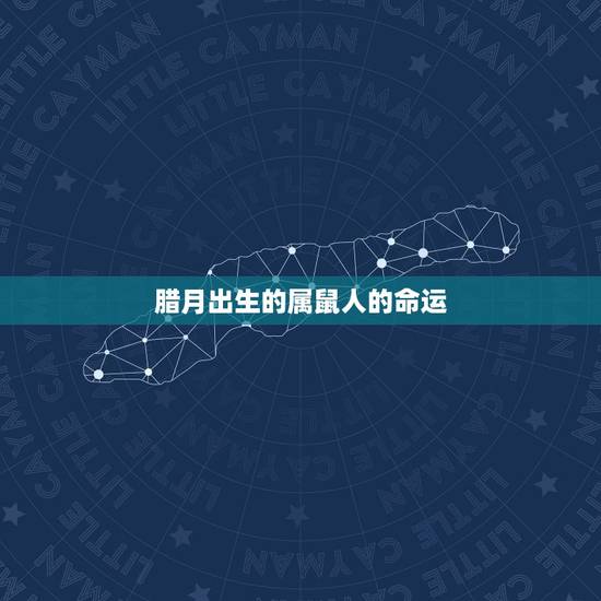 腊月出生的属鼠人的命运，属鼠的腊月初一什么命