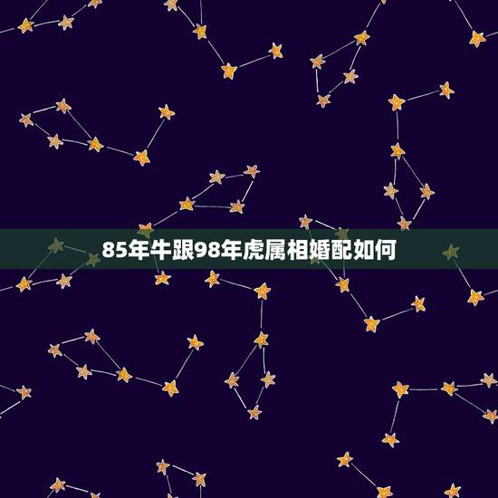 85年牛跟98年虎属相婚配如何,属牛和属虎的婚配如何 85年牛跟98年虎属相婚配如何,属牛和属虎的婚配如何