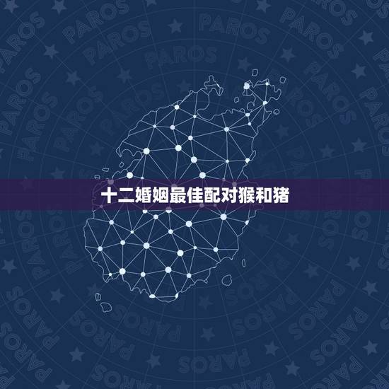 十二婚姻最佳配对猴和猪，猪和什么属相最配