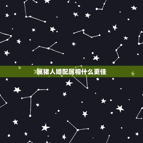 属猪人婚配属相什么更佳，属猪适合找什么属相