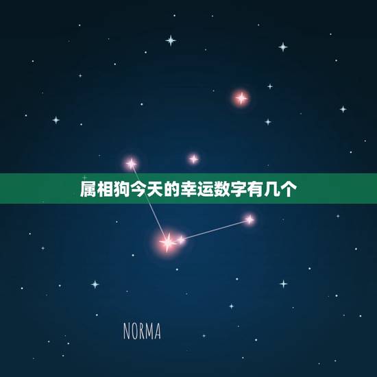 属相狗今天的幸运数字有几个，属相狗一生的幸运数字