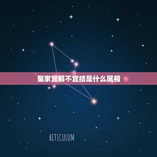 冤家宜解不宜结是什么属相，属相配对歌词