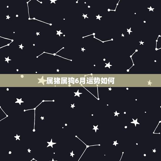 属猪属狗6月运势如何,属狗的人和属猪的人在羊年运势好吗? 属猪属狗6月运势如何,属狗的人和属猪的人在羊年运势好吗?