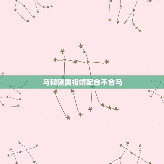 马和猪属相婚配合不合马,属猪和属马合不合 马和猪属相婚配合不合马,属猪和属马合不合