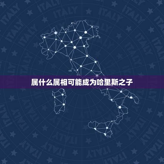 属什么属相可能成为哈里斯之子，属相问题