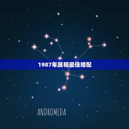 1987年属相最佳婚配，87年属兔生肖配对